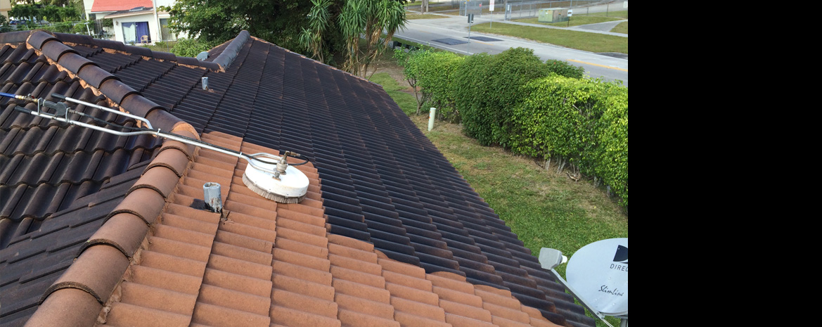 Pressure Cleaning